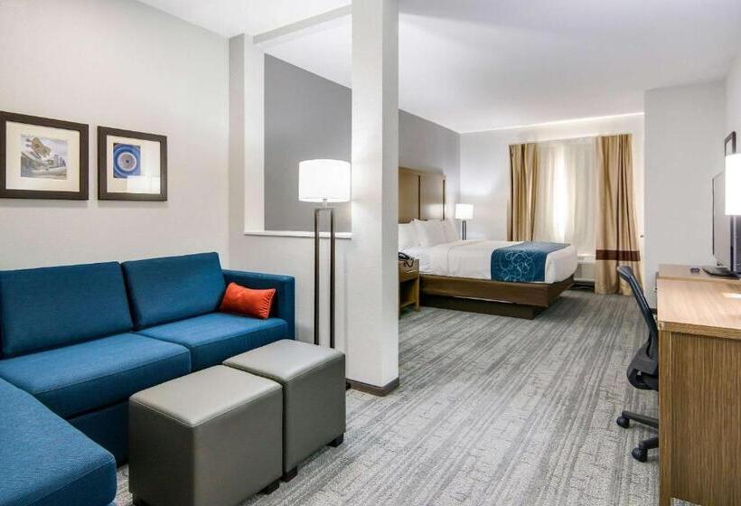 酒店 Comfort Suites Desoto Dallas South