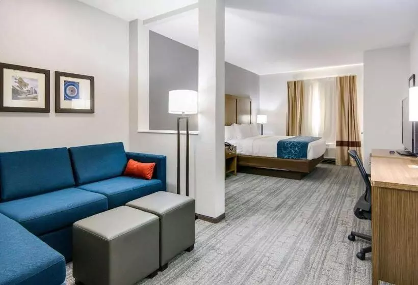 ホテル Comfort Suites Desoto Dallas South