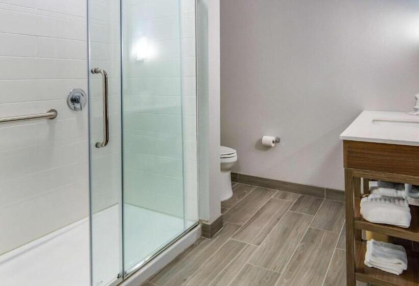 酒店 Comfort Suites Desoto Dallas South