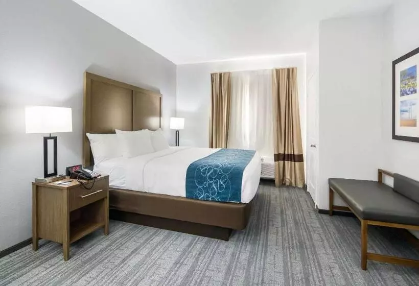 ホテル Comfort Suites Desoto Dallas South