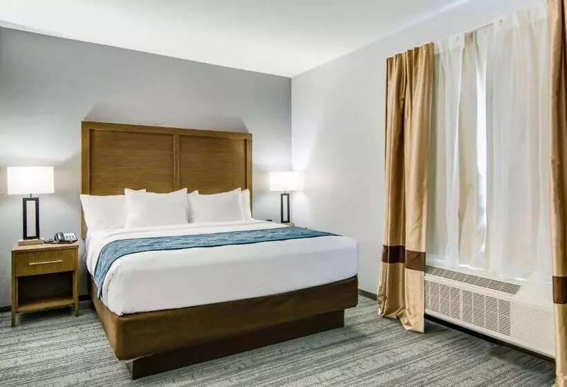 ホテル Comfort Suites Desoto Dallas South
