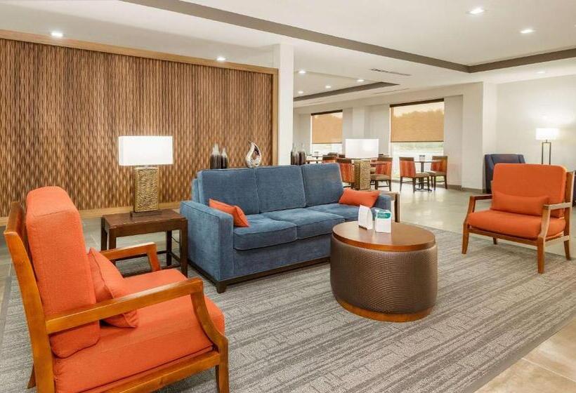 酒店 Comfort Suites Desoto Dallas South