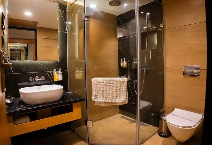 Hotel Rajhans Regency
