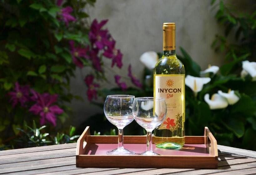 Quiet Apartment In Antwerp Near Parc   B&b Intermezzo   Business & Leisure