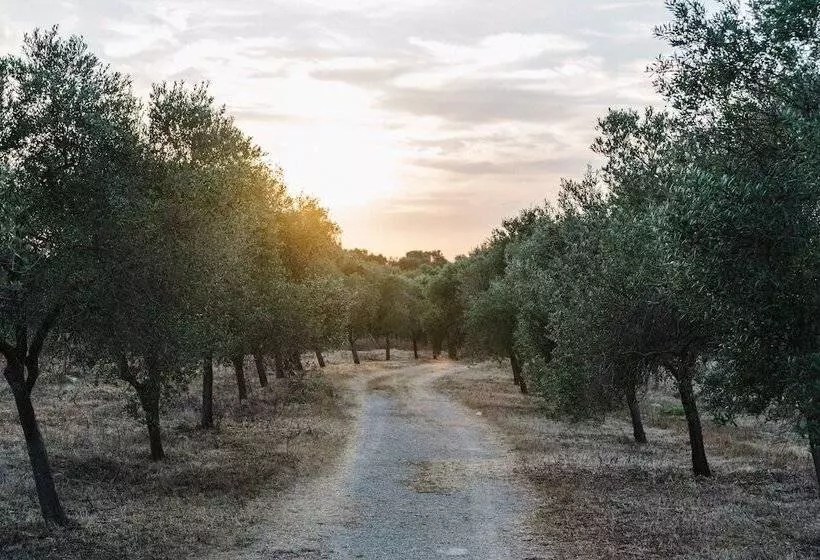 هتل Agroturismo Llucasaldent Gran Menorca   Adults Only