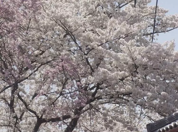 Majatalo Bishamon House