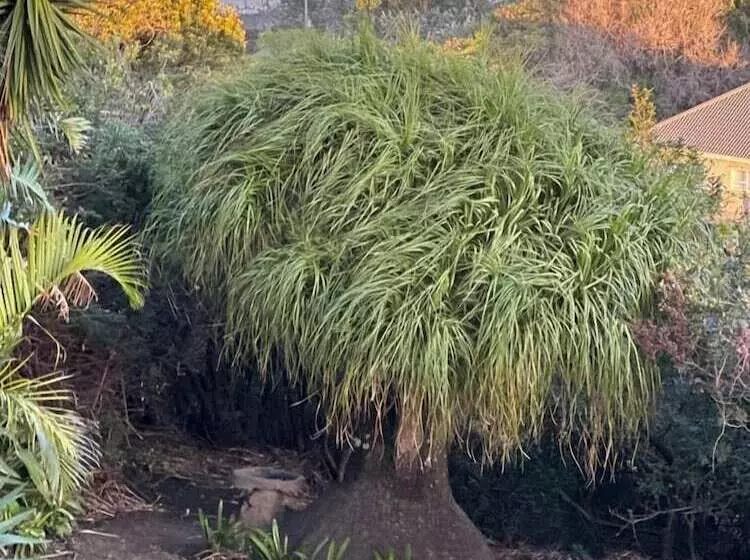 Majatalo Cove View Bed & Breakfast