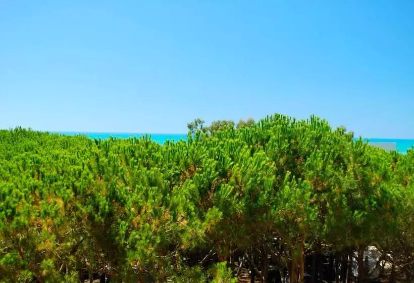 Hotelli Mali I Robit