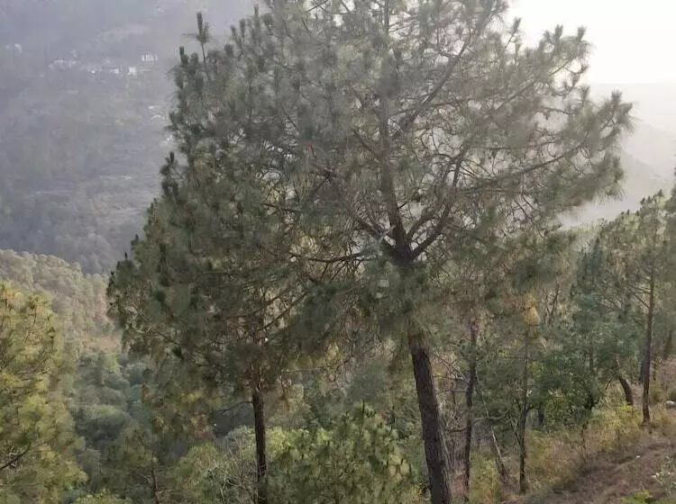 هتل Sun Pine Villa