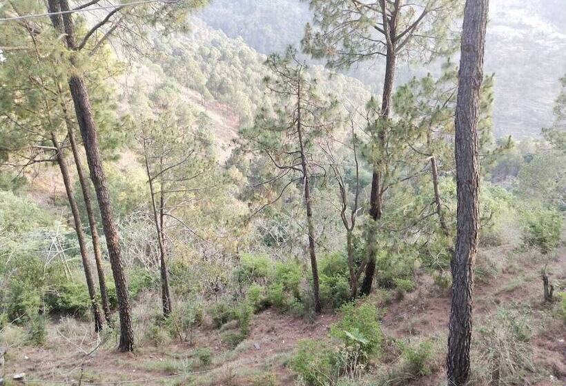 ホテル Sun Pine Villa