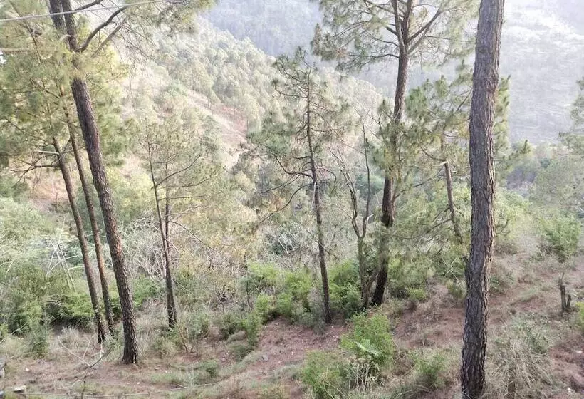 هتل Sun Pine Villa