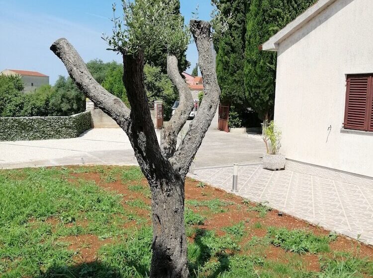 Pensjonat Viktor Rooms And Apartments