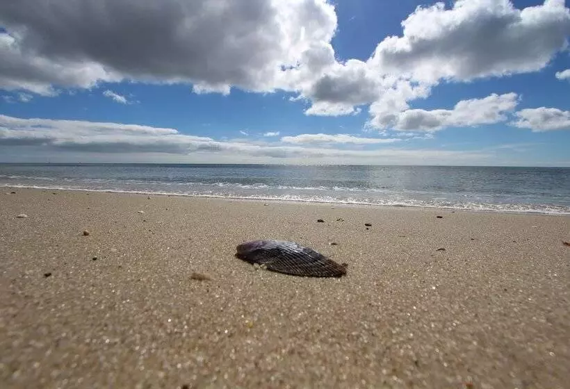 Edgewater Beach Resort