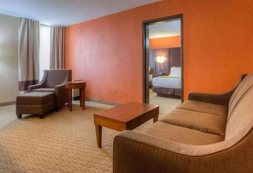 ホテル Comfort Inn & Suites Evansville Airport