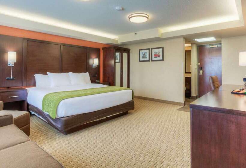 فندق Comfort Inn & Suites Evansville Airport