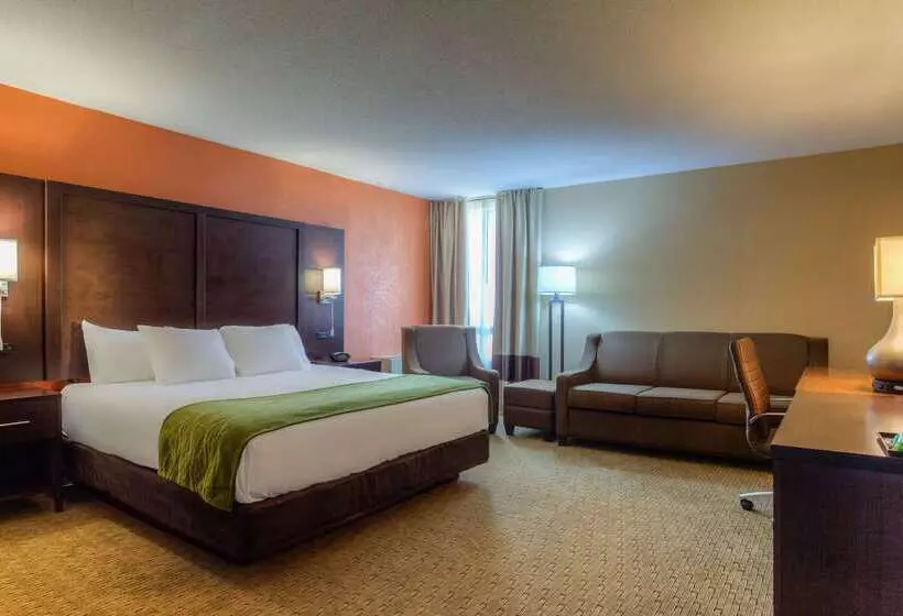 ホテル Comfort Inn & Suites Evansville Airport