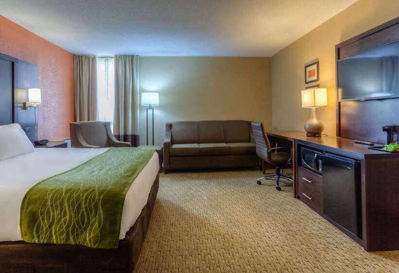 فندق Comfort Inn & Suites Evansville Airport