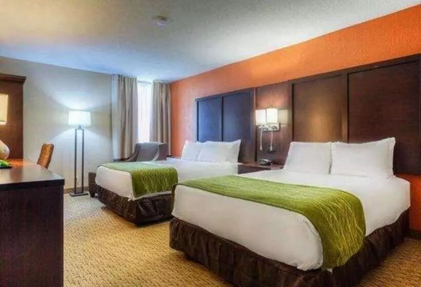 ホテル Comfort Inn & Suites Evansville Airport