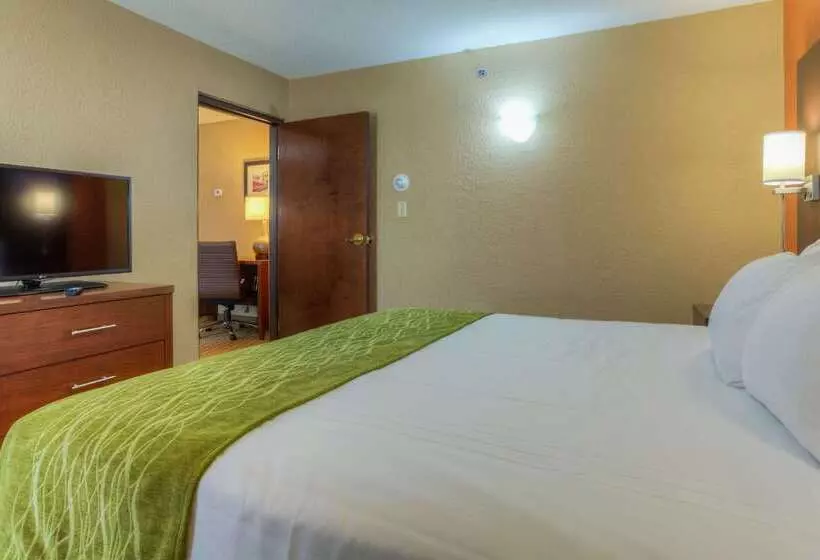 ホテル Comfort Inn & Suites Evansville Airport