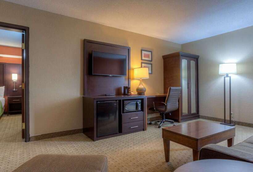فندق Comfort Inn & Suites Evansville Airport