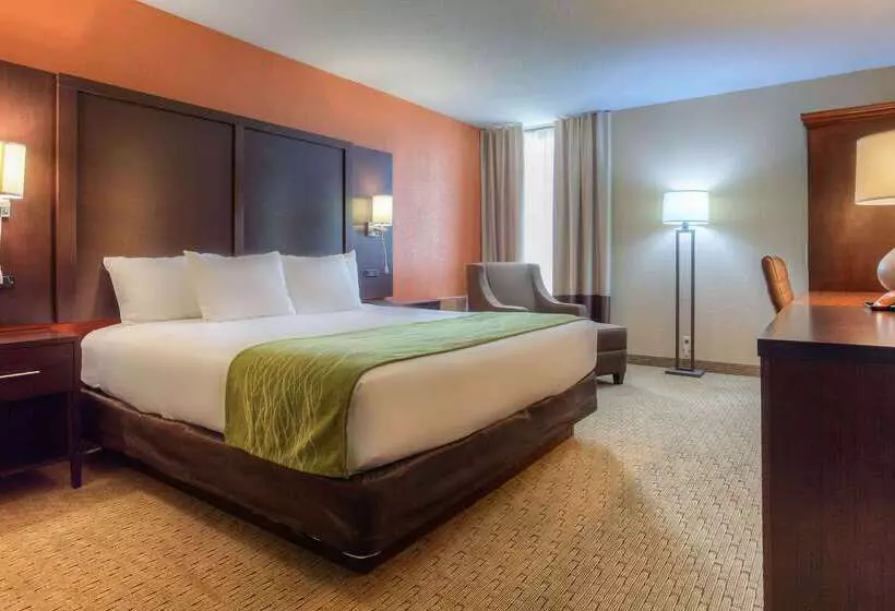 ホテル Comfort Inn & Suites Evansville Airport