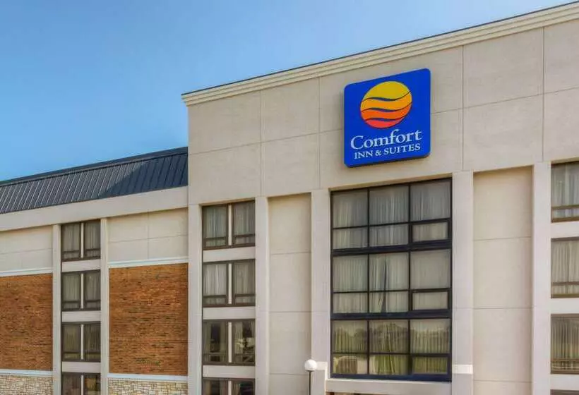 ホテル Comfort Inn & Suites Evansville Airport