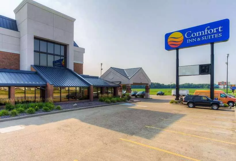 ホテル Comfort Inn & Suites Evansville Airport