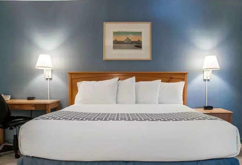 هتل Econo Lodge South