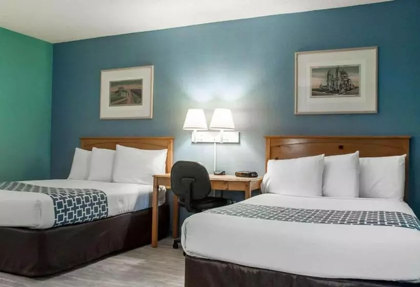 هتل Econo Lodge South