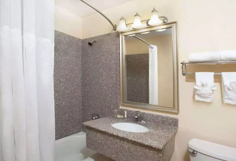 ホテル Super 8 By Wyndham Chicago Northlake O'hare South