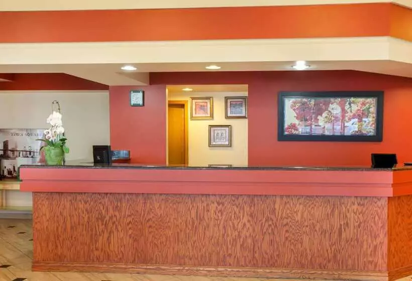 ホテル Super 8 By Wyndham Chicago Northlake O'hare South