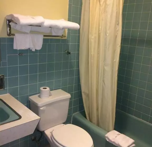 汽车旅馆 Rapids Inn & Suites