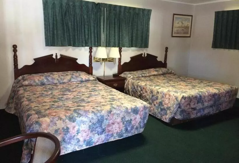 汽车旅馆 Rapids Inn & Suites