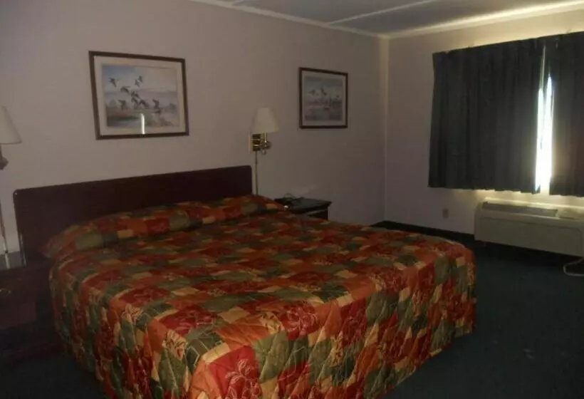 汽车旅馆 Rapids Inn & Suites