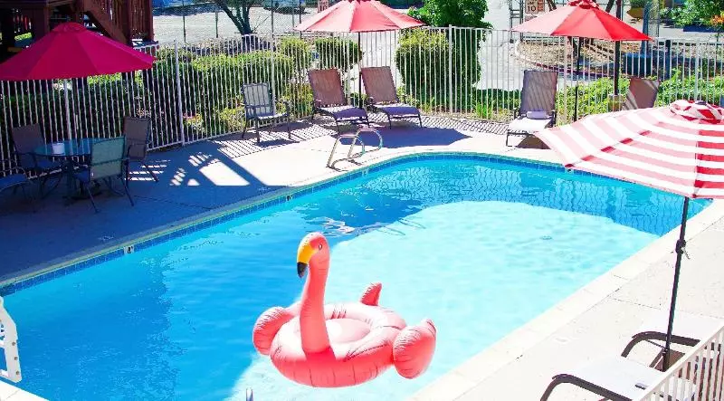 汽车旅馆  Surestay Hotel By Best Western Fairfield Napa Valley