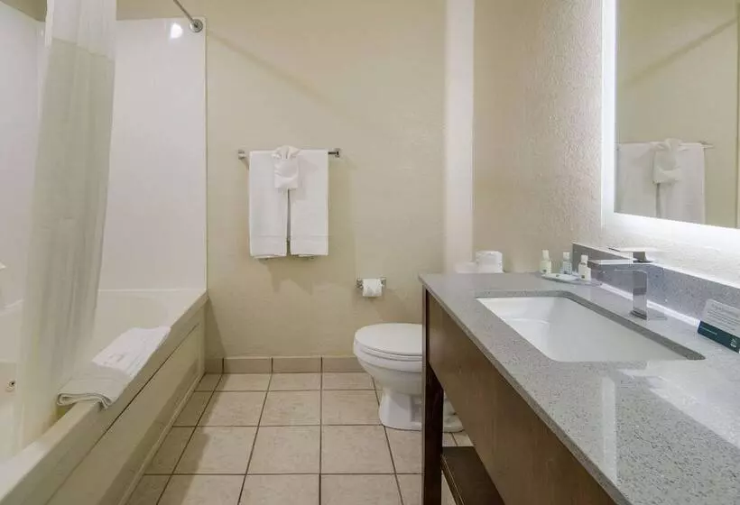 Hotelli Quality Inn & Suites Roanoke   Fort Worth North