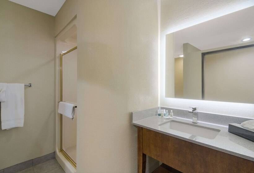 בית מלון כפרי Quality Inn & Suites Roanoke Fort Worth North