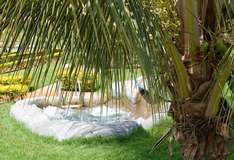 فندق Thermas Bonsucesso