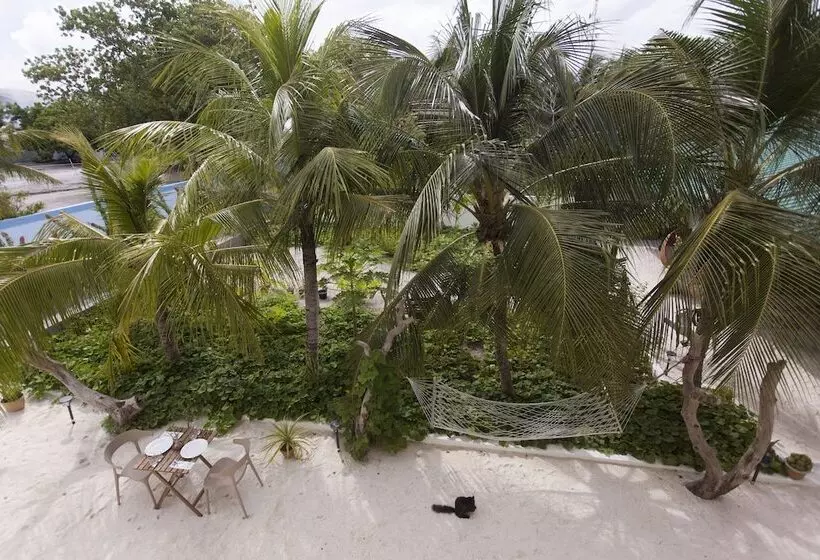 هتل Tranquila Maldives