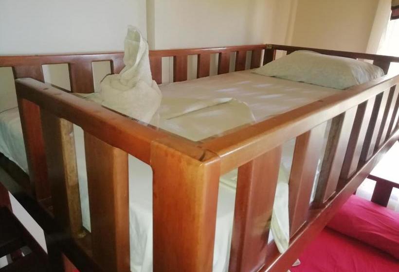 مبيت وإفطار Drake Bay Casita Sun Shine