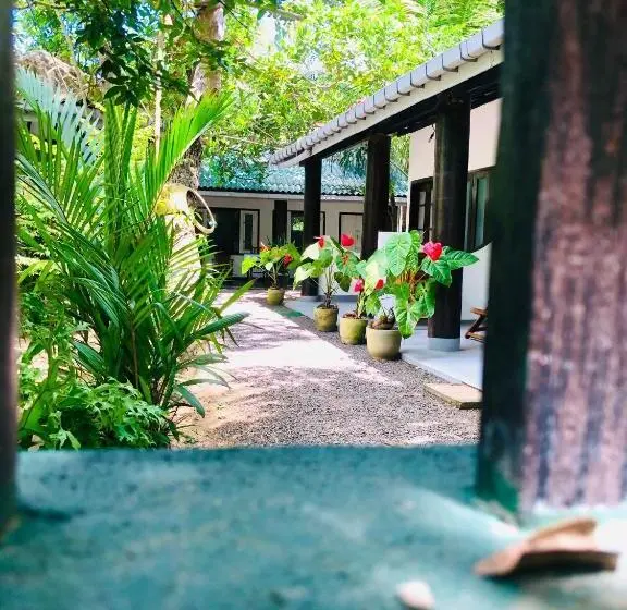 Drongo Place