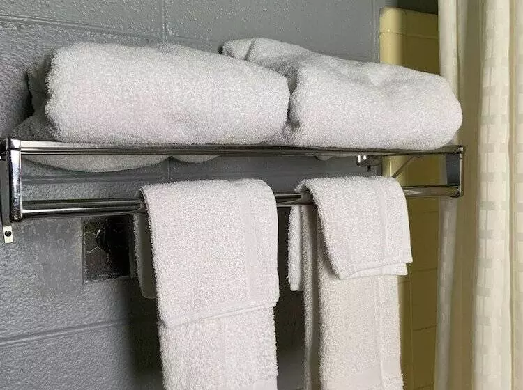 ホテル Birchwood Suites