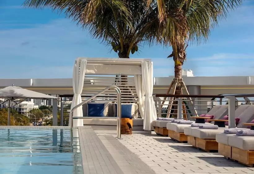 Kimpton   Hotel Palomar South Beach, An Ihg