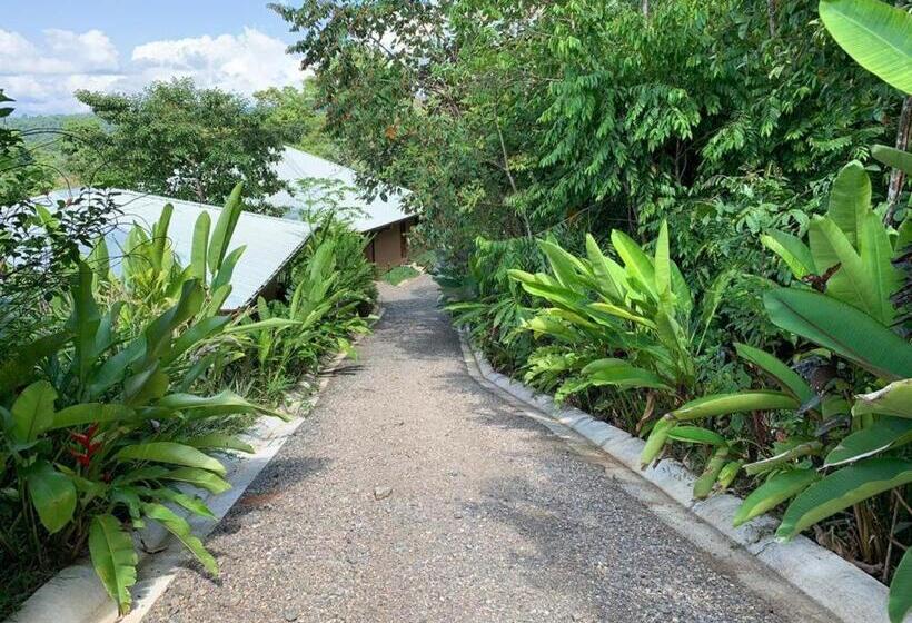 Отель Drake Bay Greenleaf