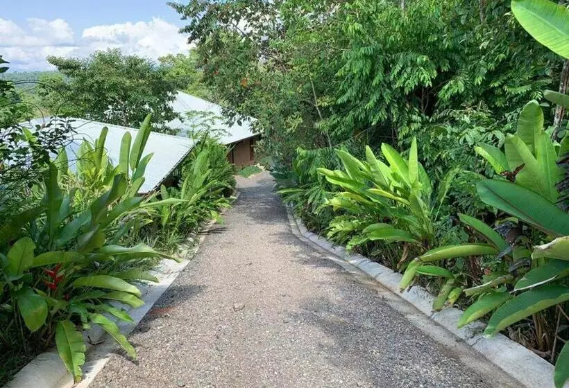 Hotelli Drake Bay Greenleaf