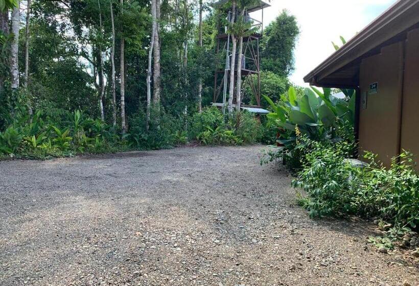 Отель Drake Bay Greenleaf