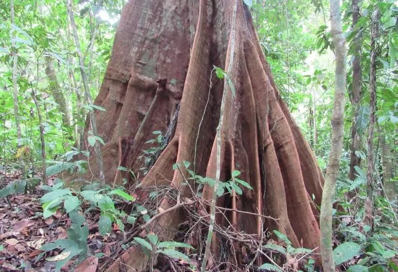 Hotelli Drake Bay Greenleaf