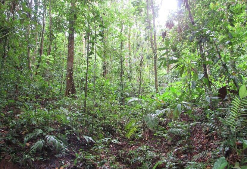 Отель Drake Bay Greenleaf