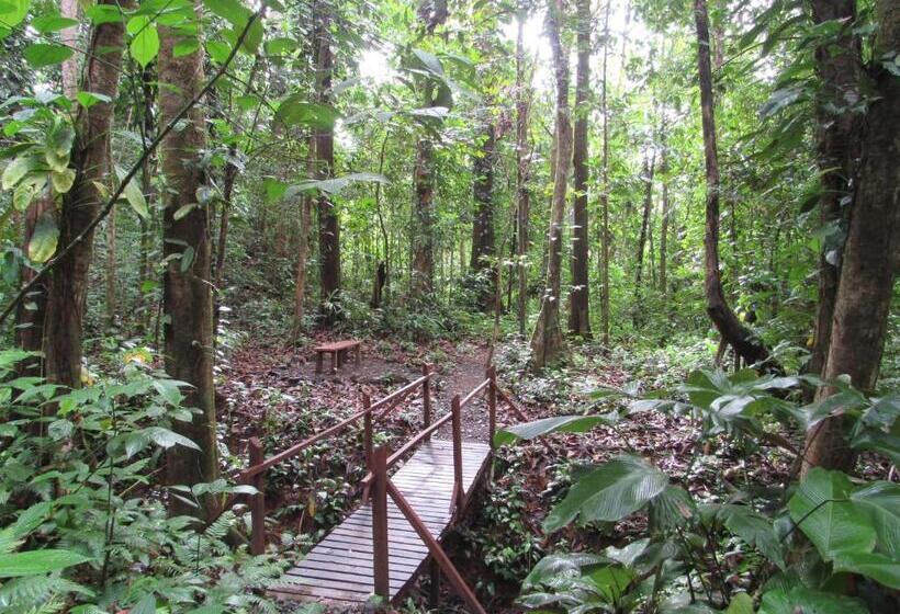 Отель Drake Bay Greenleaf