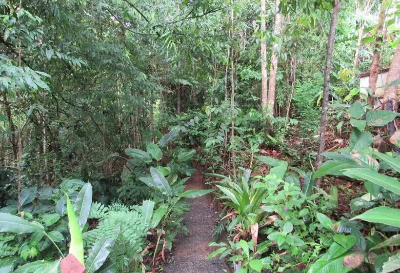 Hotelli Drake Bay Greenleaf